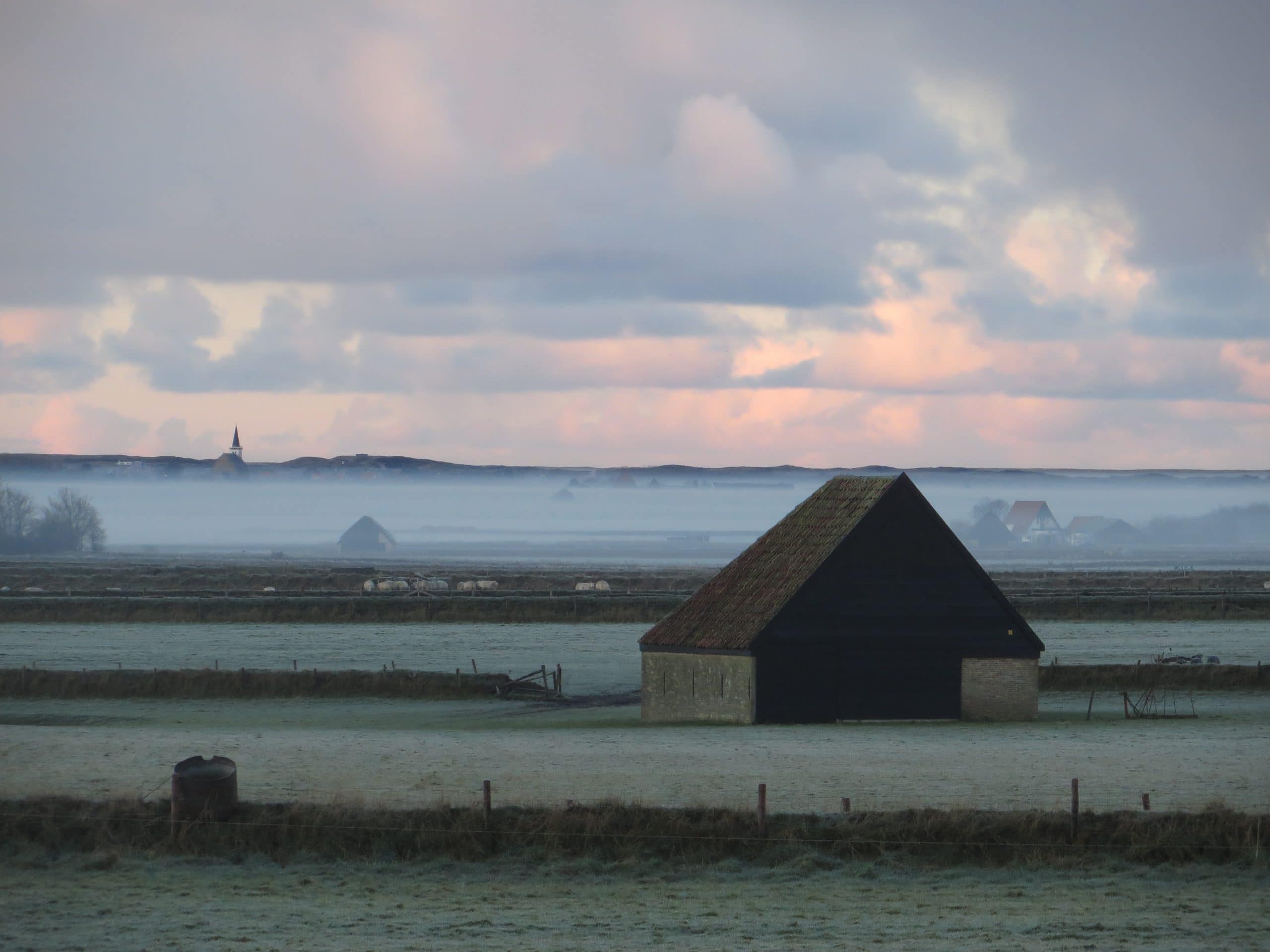 Mistig gezicht op Den Hoorn
