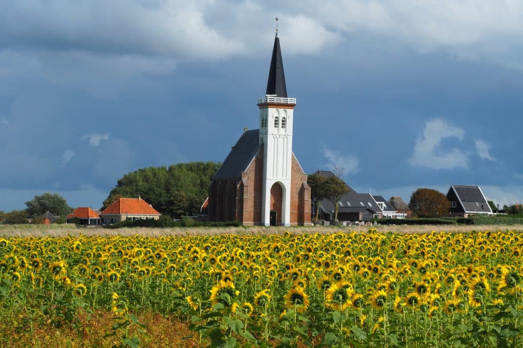 Kerk van Den Hoorn met veld zonnebloemen ervoor