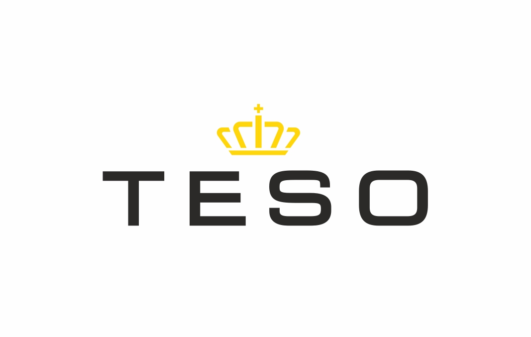 Logo Teso